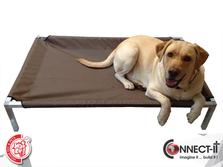 07 Home DIY and Pets 01 768x576