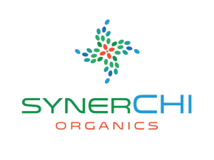 SynerChi Logo 800x600.1 300x225